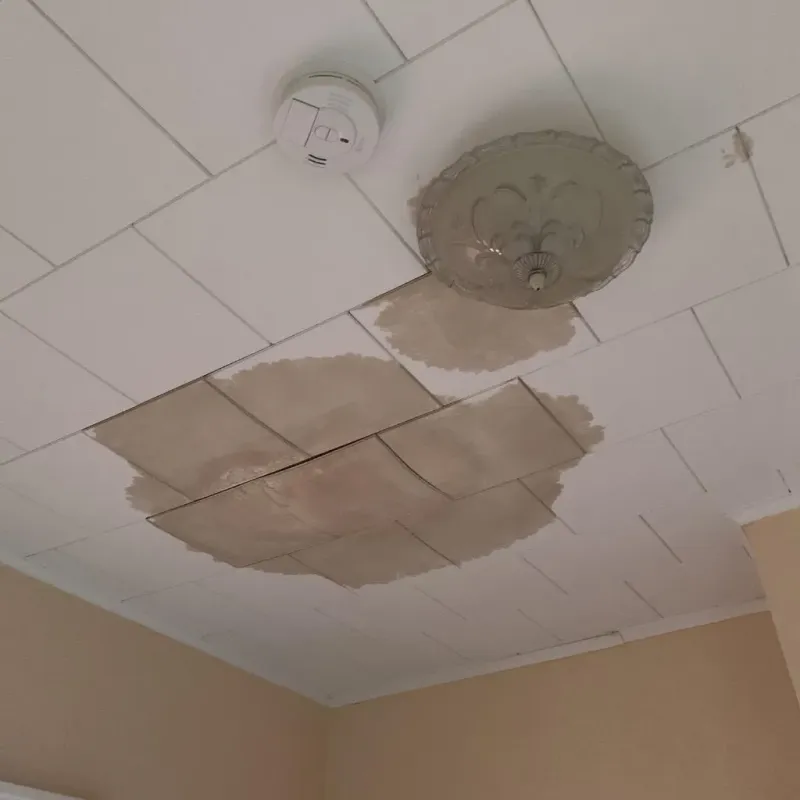 Ceiling Water Damage Repair in Heath, OH