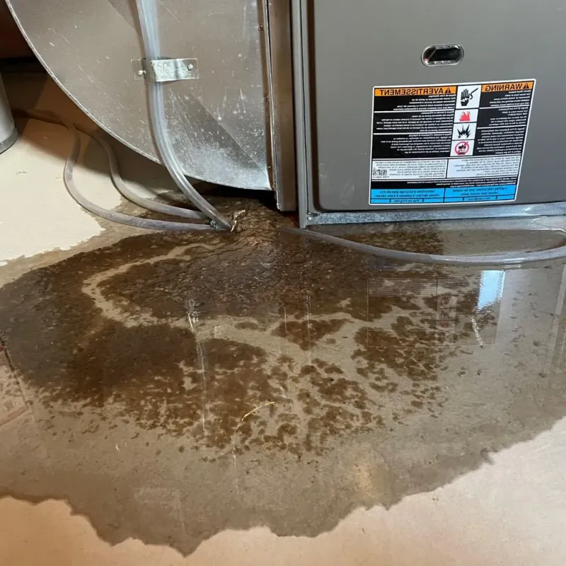 Pipe Burst and Leak Restoration in Heath, OH